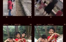 京明温泉度假村动物观赏园