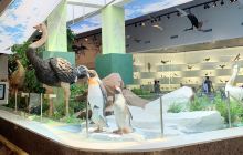 秦皇岛鸟类博物馆