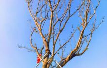 白石龙音乐主题公园