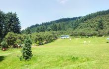 鹞子沟国家森林公园