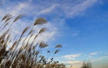 莱西湖生态休闲区