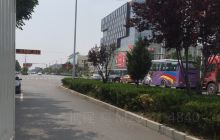 善木良将红木艺术馆(兰考4s店)