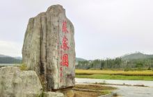 苏家围
