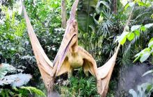 滴翠山庄恐龙展