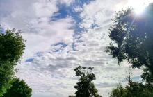 寥廓山森林公园