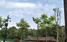 柏林湖国家湿地公园