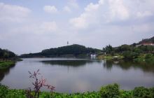 中央电视台南海影视城-拓展区北...