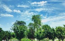 湖北楚湘生态观光园