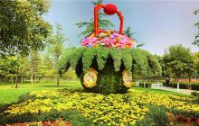 泾河智慧农业园