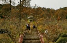 黑龙江小兴安岭蓝莓博物馆