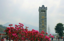 莲花山公园