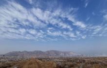 七彩多肉植物园