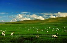 高山湿地生态涵养区