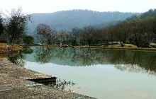 凤凰湖生态植物园