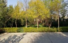 涿州市技师学院