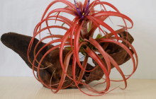 半夏瑜伽生活艺术馆