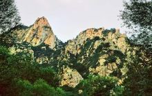 紫云山