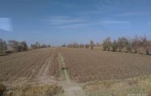 黑河流域自然保护区