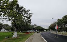 南沙天后宫-滨海公园(天后路)