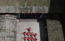 晴川苏公祠