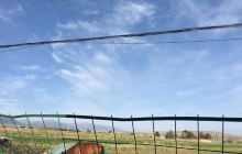 南山白杨沟风景区西白杨沟