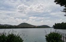 桂畔湖湿地公园