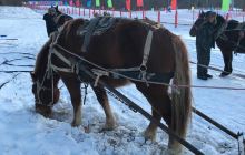 亚布力广电国际滑雪场