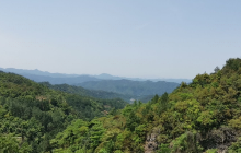 天露山林场