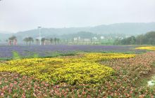 宝贝健康农场