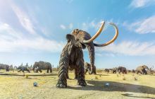 扎赉诺尔猛犸旅游区