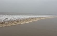 丁桥镇西捍沙庙