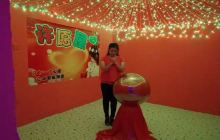 忘忧谷欢乐王国