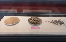 南泥湾大生产博物馆