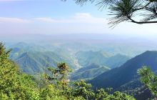 天目山镇天目村