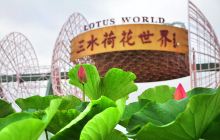 荷花奇境(三水荷花世界)