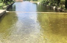 金河口森林公园