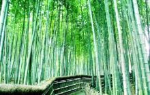 三元塔