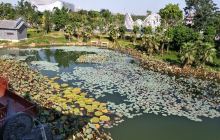 北海园博园贵港园