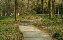 沙头角莲麻坑村叶定仕故居