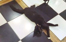 金陵竹刻艺术博物馆