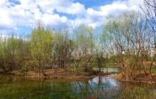 南河湿地公园