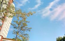 丰顺金德宝凯悦国际温泉