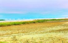 秦皇岛海滨国家森林公园