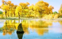 莫勒切河谷岩画