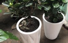 中信国际展览中心