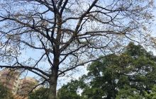 少年儿童图书馆