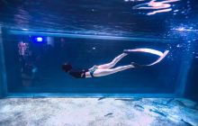 尼莫潜水俱乐部(海悦天地购物广...