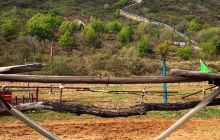 平顶山山顶公园