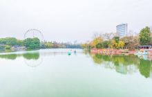 杏花公园