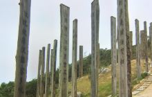 泰山